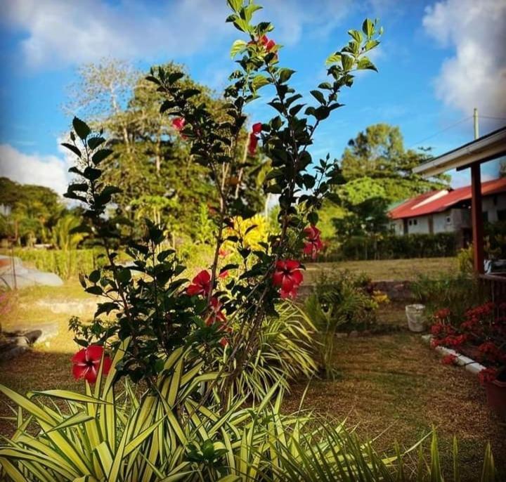Linsen Selfcatering * La Digue