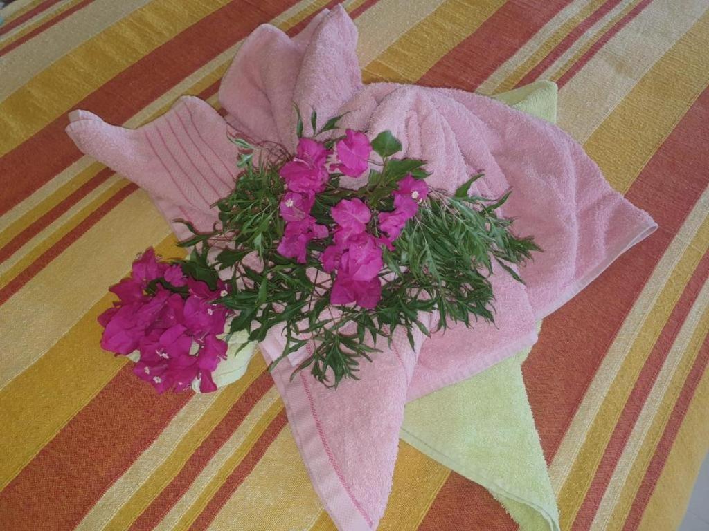 Linsen Selfcatering *