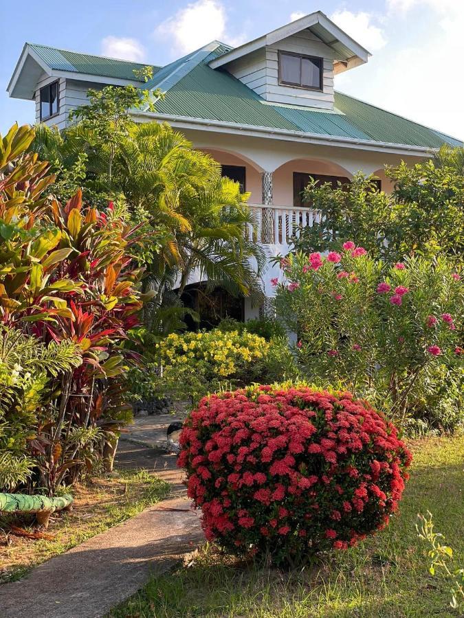Linsen Selfcatering Apartman