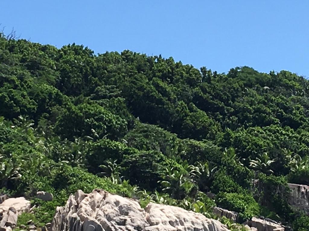 Linsen Selfcatering La Digue