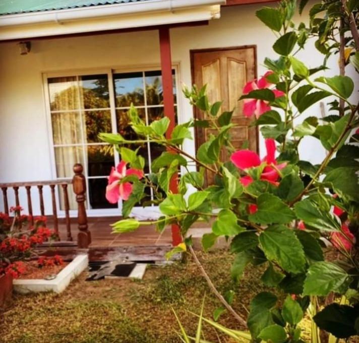 Apartamento Linsen Selfcatering *