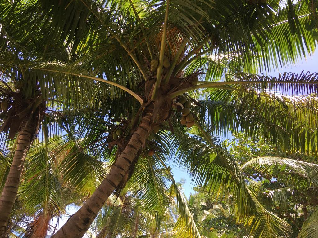 Linsen Selfcatering La Digue